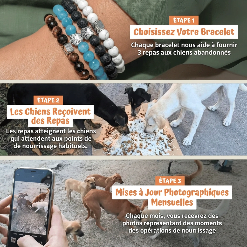 Bracelet Sans Collier - Bleu Ocean