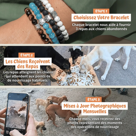 Bracelet Sans Collier - Bleu Ocean